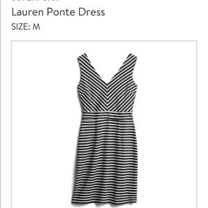 Superfox Lauren Ponte dress from Stitch Fix